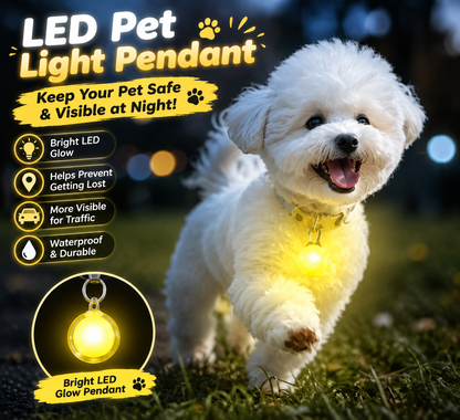 Keep Your Pet Visible at Night 🐶✨ LED Pet Collar Light for Night Walks & Outdoor Adventures
